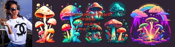 амф Алексин