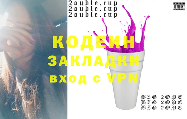 шишки Коряжма