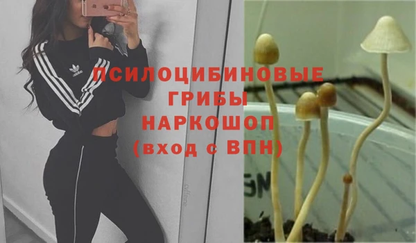 метадон Алзамай